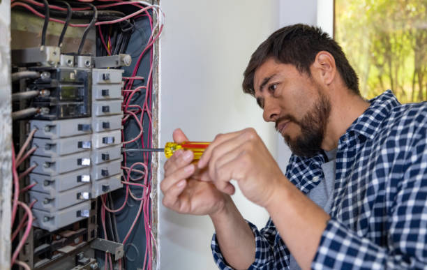 Best Electric Panel Repair  in Point Clear, AL